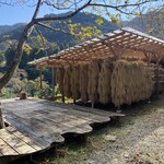 NOMI RESTAURANT - お店の前庭