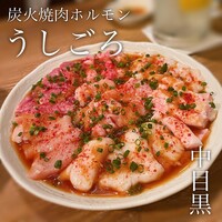 炭火焼肉ホルモン うしごろ 中目黒店 - 
