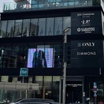 サバティーニ・ディ・フィレンツェ - 