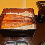 Unagi Maeda - 