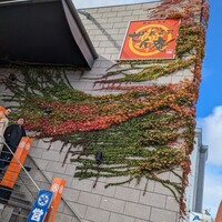 おたる政寿司 ぜん庵 - 