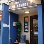 BLUE PARROT - 