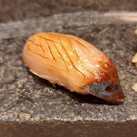 鮨 神戸まつもと - 