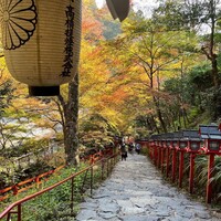 貴船喜らく - 