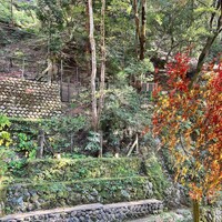 貴船喜らく - 