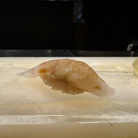 鮨 やまけん 銀座店 - 