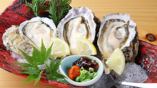 Kakigoya Akkeshi Suisan - 北海道あっけし産の生牡蠣は１年通じて美味しい牡蠣です