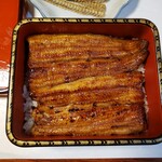 Unagi Hashimoto - 