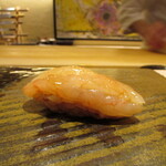 鮨 たかはま - 北海道の甘海老の昆布〆