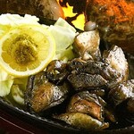 Hakata Ichibandori Charcoal grilled tender duck