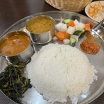 BINDU - 