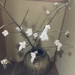 Zen - あっ！綿の花や　(๑･̑◡･̑๑)