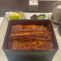 割烹蒲焼 横浜八十八 NEWoMan横浜店 - うな重