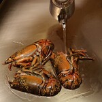 銀座響ブッフ - オマール海老の調理中