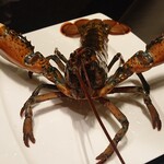 銀座響ブッフ - 本日の食材