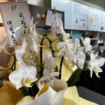 中華そば ふじ田 - 