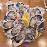 Oyster Bar ジャックポット - 