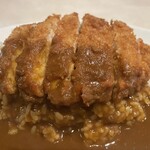 カレー堂 - チキンカツカレー