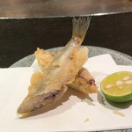 天ぷら岡本 - 天ぷら岡本(本シシャモ)