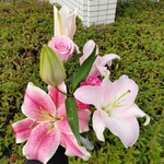 약선 Cafe - 감사합니다(^^)