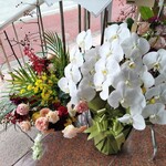 약선 Cafe - 개업 축하 꽃