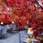 HAUTE COUTURE CAFE OMOTESANDO - 