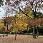Fumichan - 平和記念公園