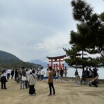 Fumichan - 安芸の宮島