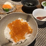 目白　咲き - イクラご飯