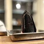 Barca. - コバンザメ