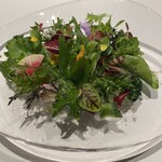 レフェルヴェソンス - 