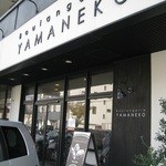 ヤマネコ - 外観