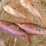 Onna Tsubaki - 新鮮な魚介類が…