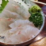 丸千葉 - 真鯛刺身。