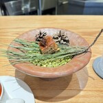 Lito - 松の実を使ったケーキ、松ぼっくりの蜂蜜漬け