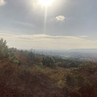 TERRACE 若草山 - 