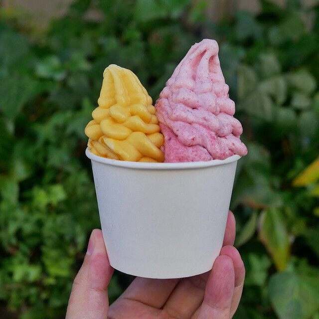 woodberry's Hon Ten photo 5