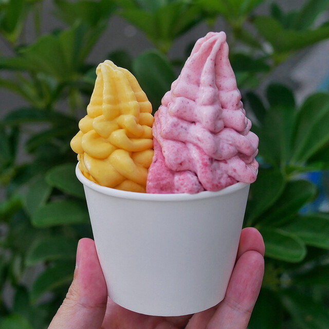 woodberry's Hon Ten photo 4