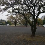 キッチン ブルー グローブ - この広場でイベントの開催？