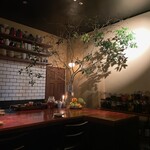 サーグエスニック - 