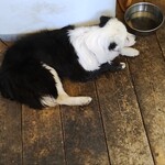 ツキサップ農園 - 