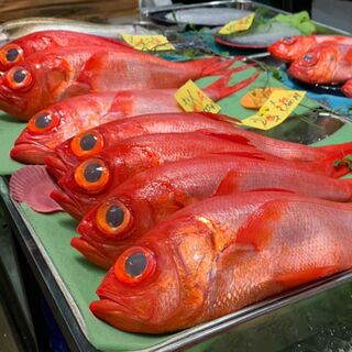 Special golden sea bream sent directly from Toyosu market every morning