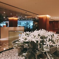 東山 ハイアット リージェンシー 京都 - 