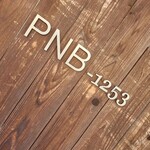 PNB-1253 - 