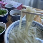 手打うどん はりや - 麺の、透明感！　つるんとした喉ごし！　もっちり食感！