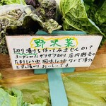 上田市丸子農産物直売加工センター あさつゆ - 野沢菜　byまみこまみこ