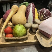 オッジ ダルマット 西麻布店 - 