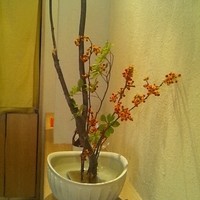 広尾はしづめ - シャレとるな～