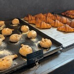 金絲雀 - パンたち
