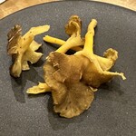 シャントレル - 